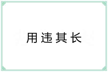 用违其长